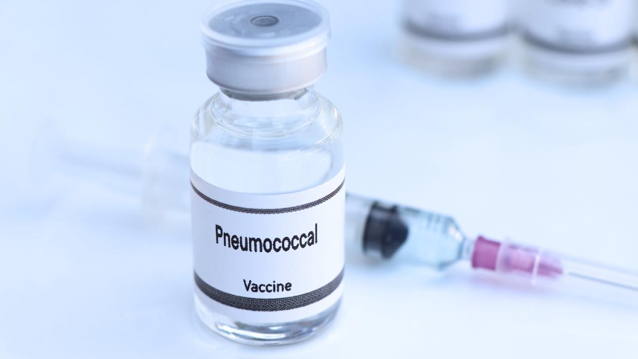 Pneumococcal Conjugate Vaccine